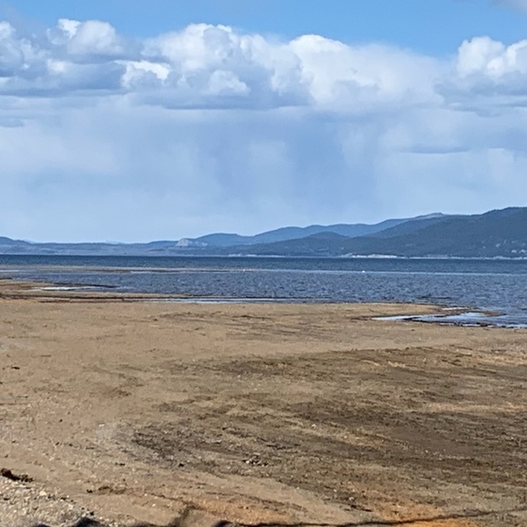 Meet your Posher, Kelsey - Picture 1 of 1